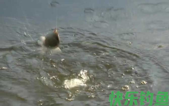 九月钓鱼怎么选钓位？