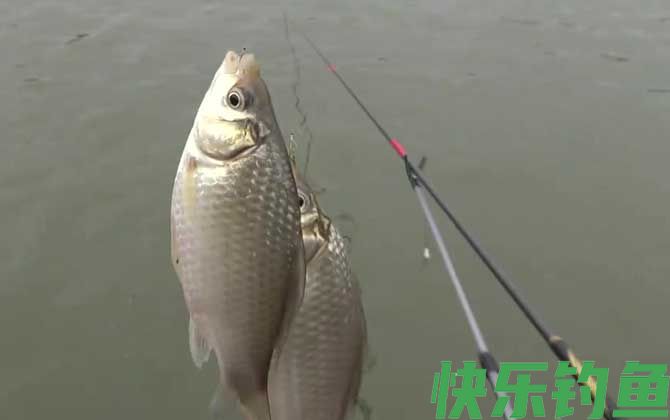 初冬钓鱼天气怎么选择？