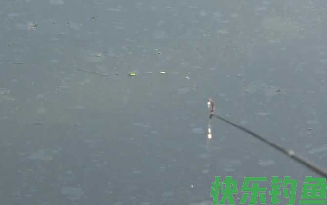 深秋钓鱼什么时间段比较好？