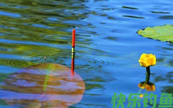 大幅度顶漂不上鱼是什么缘故？