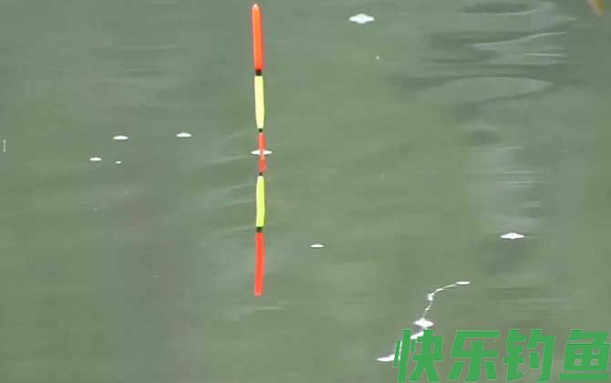 台钓调漂带钩还是不带钩？