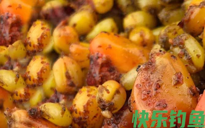 老玉米钓鱼技巧及泡制方法