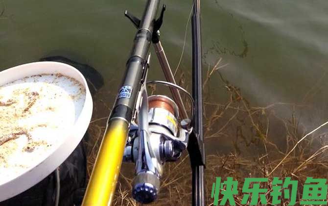 春季钓鱼
