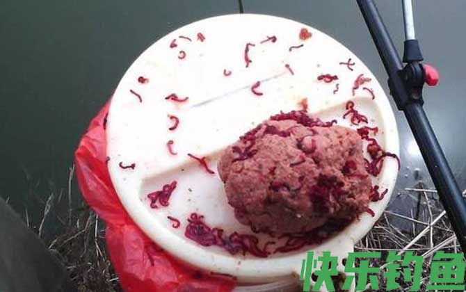 红虫钓鲫鱼