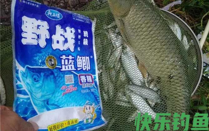 野战蓝鲫+疯钓鲫本位香