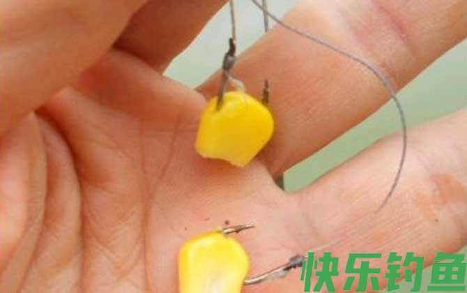 玉米钓鱼