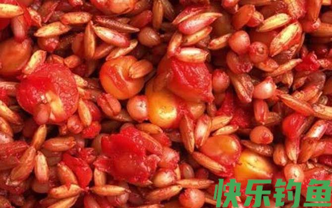窝料