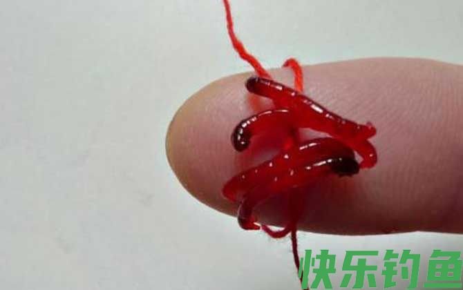 红虫
