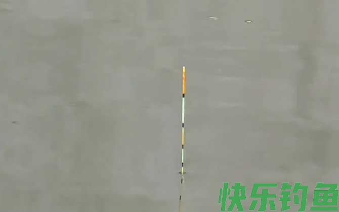 钓鱼