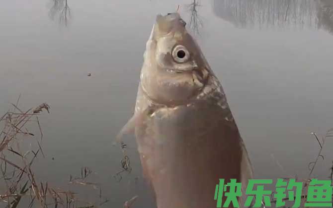 冬季钓鱼