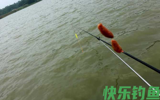 搓饵