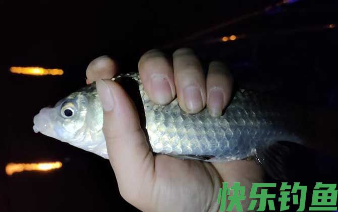 夏天钓鱼