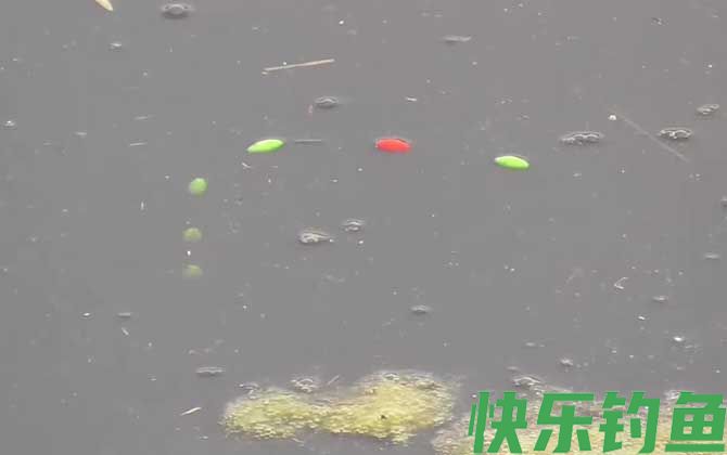 早春钓鱼