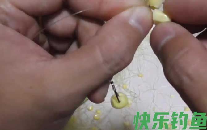 玉米钓鱼