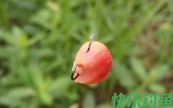玉米钓鱼