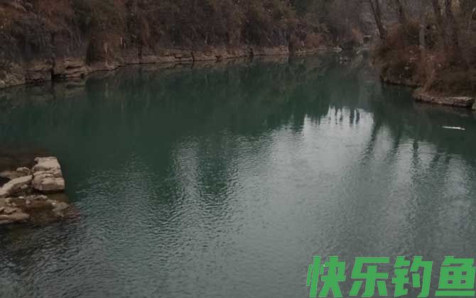 钓鲫鱼