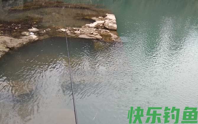 钓鲫鱼