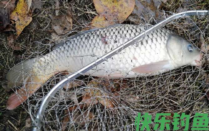 钓鱼正口是什么意思？