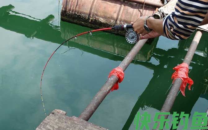 筏钓什么时候好钓？