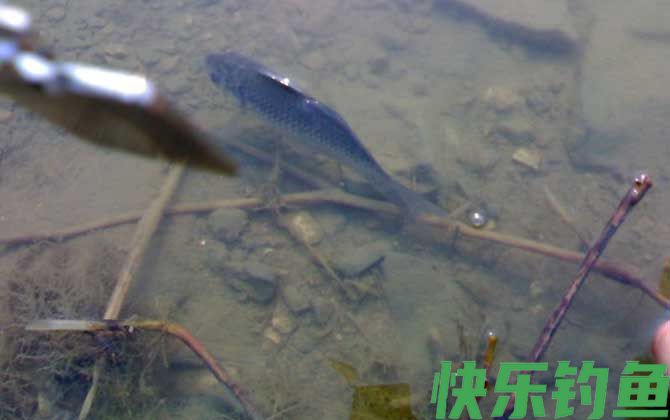 传统钓法的优点和缺点