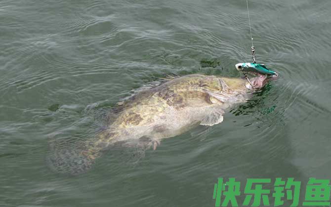 为什么钓鱼人都讨厌玩路亚的？