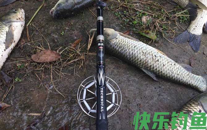 谷麦钓法逗钓线组搭配技巧