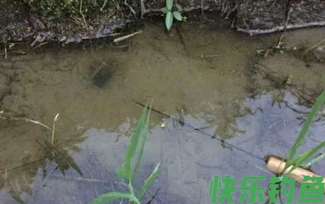 钓黄鳝的钩子怎么做