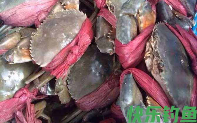 青蟹和大闸蟹的区别