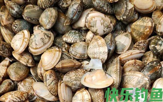 花甲