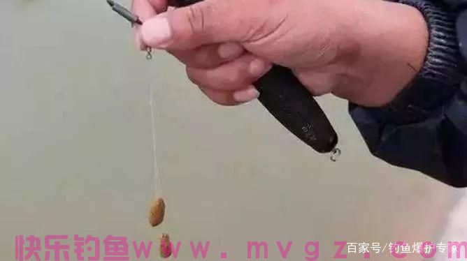 钓鲫鱼，用什么饵料最好钓？