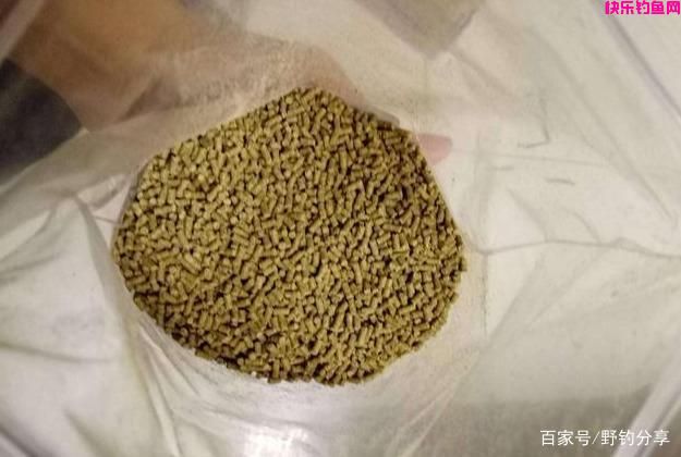 钓鱼：如何选择一款饵料？先从这3个基础认识入手！