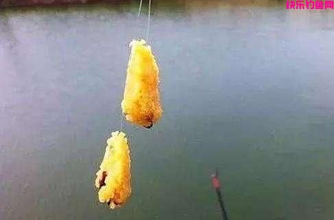 涨姿势！非常有效的3款钓鲤鱼饵料配方，3