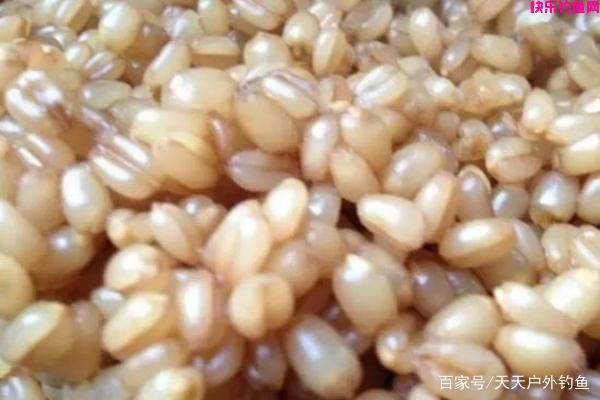 仲秋钓鱼必杀饵料配方，爽钓国庆长假