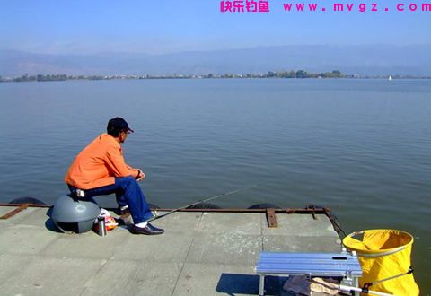 深秋初冬钓野生大板鲫用饵揭秘