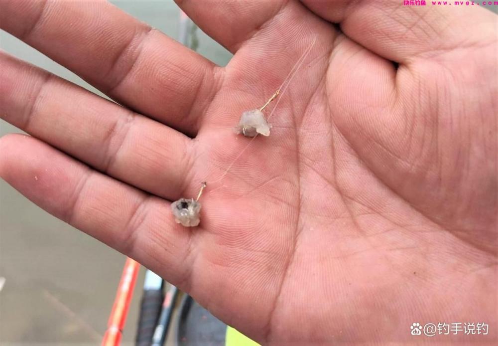 为什么冬季比夏季更好钓鲫鱼？钓鱼用这几种腥味，钓的鱼又多又大