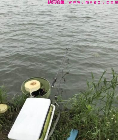 桃花流水鲫鱼肥，春季钓鲫鱼，学会这3个钓法，连杆到手软