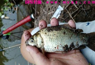 3个影响鱼获的渔具使用细节