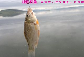 影响钩距调整的三个因素