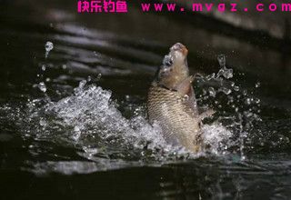 全面了解钓鱼最好的起竿时机