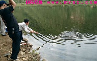 想要垂钓收获好，应知鱼识水