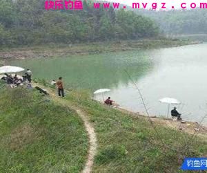 陌生水域钓鱼如何判断水里有没有鱼
