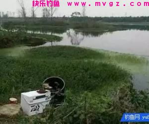 到一个陌生水域垂钓怎样判断鱼情