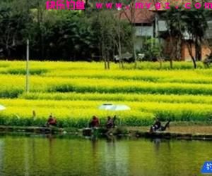 春季鱼都藏在这些地方，钓鱼黄金季节这些钓