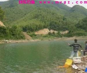 春天钓鱼的用饵之道
