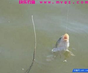 钓鱼技巧：什么是钓接口？打接口的技巧！
