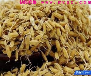 民间钓鱼老王研究出来的钓草鱼鲤鱼配方，学会了你也可以成为高手