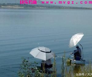 夏季钓鱼渔获不佳？注意这4大套路，渔获猛增无难度