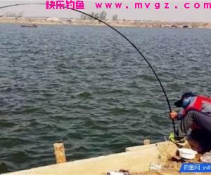 休闲钓小钩细线如何搏大物？
