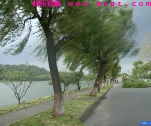 刮风时怎样选择钓点？