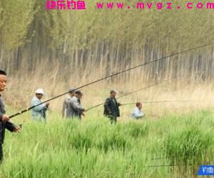 钓鱼遇到9个问题！帮你一一解决
